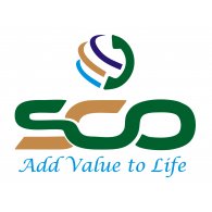 STP Logo